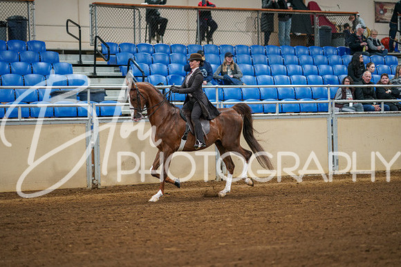 Aurora Show June 8, 2024  - 00948