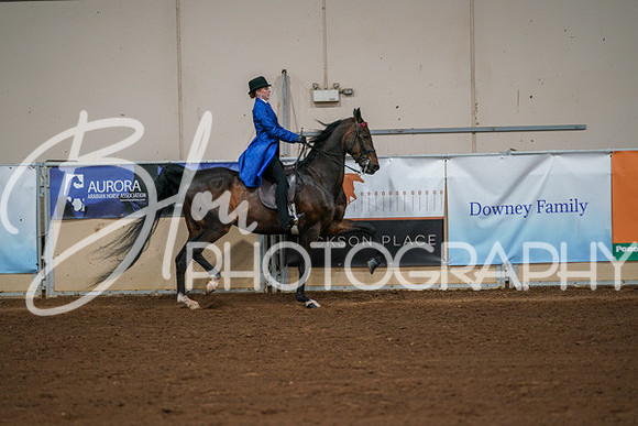Aurora Show June 8, 2024  - 01015