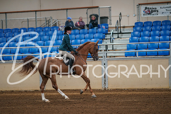 Aurora Show June 8, 2024  - 00869