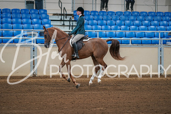 Aurora Show June 8, 2024  - 00840