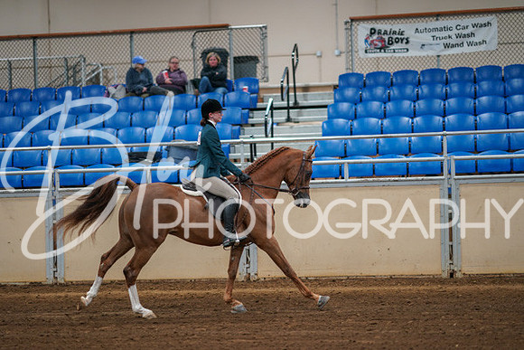 Aurora Show June 8, 2024  - 00870