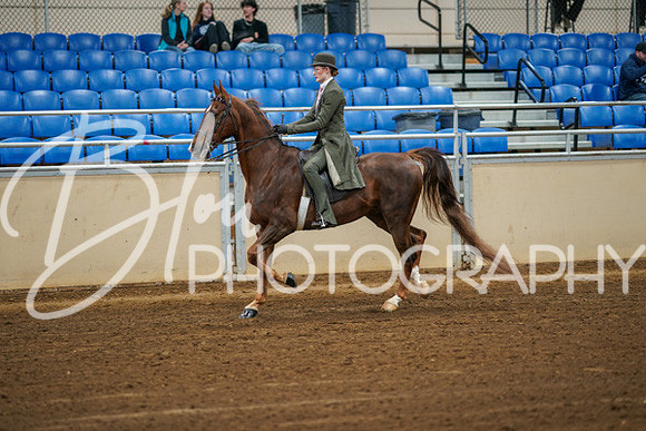 Aurora Show June 8, 2024  - 00960