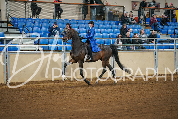 Aurora Show June 8, 2024  - 00970