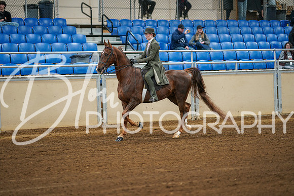 Aurora Show June 8, 2024  - 00957
