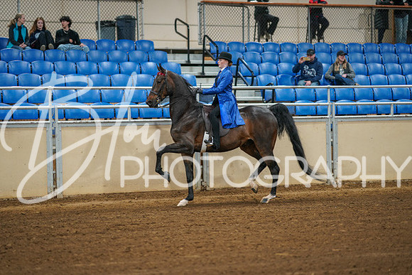 Aurora Show June 8, 2024  - 00974