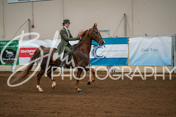 Aurora Show June 8, 2024  - 01036