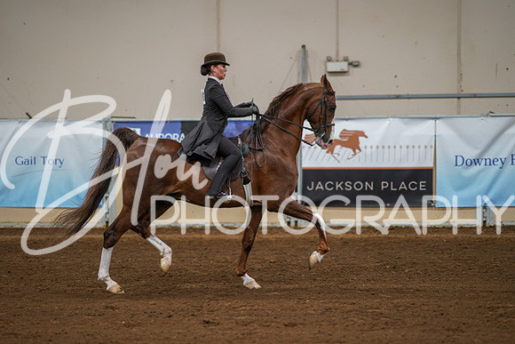 Aurora Show June 8, 2024  - 01031