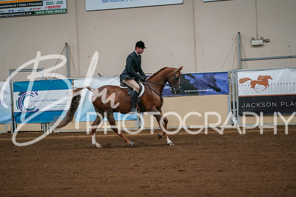 Aurora Show June 8, 2024  - 00912