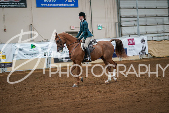 Aurora Show June 8, 2024  - 00849