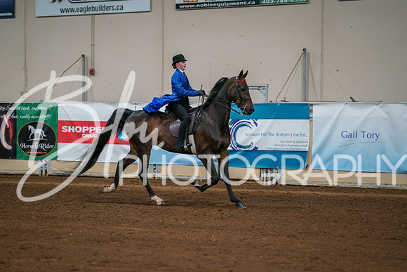 Aurora Show June 8, 2024  - 01043