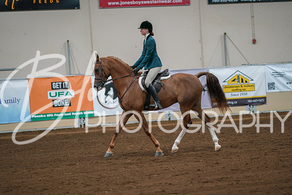 Aurora Show June 8, 2024  - 00852