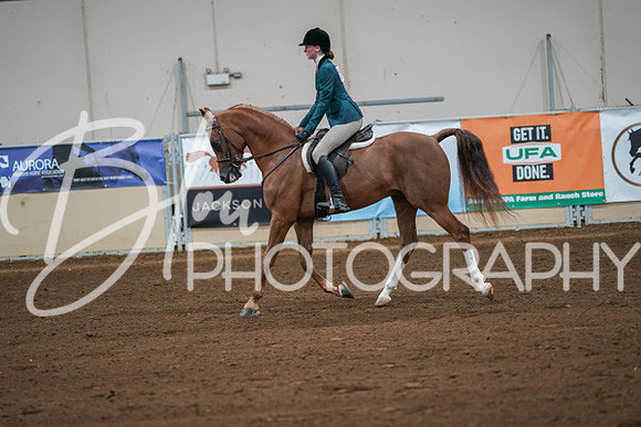 Aurora Show June 8, 2024  - 00855