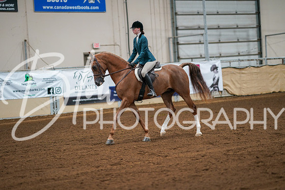 Aurora Show June 8, 2024  - 00848