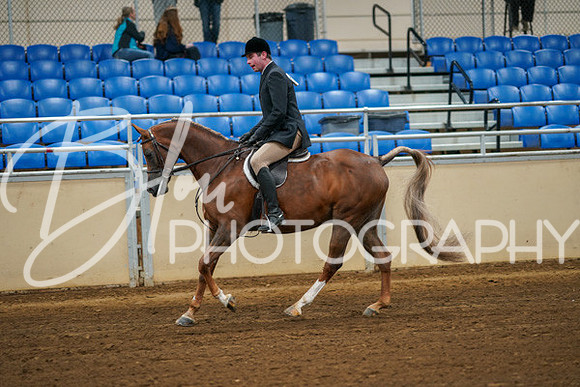 Aurora Show June 8, 2024  - 00904
