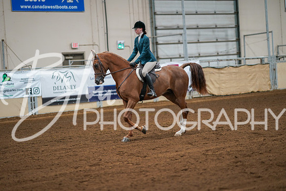 Aurora Show June 8, 2024  - 00847