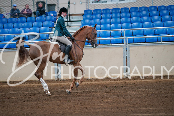 Aurora Show June 8, 2024  - 00868