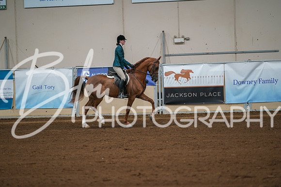 Aurora Show June 8, 2024  - 00859
