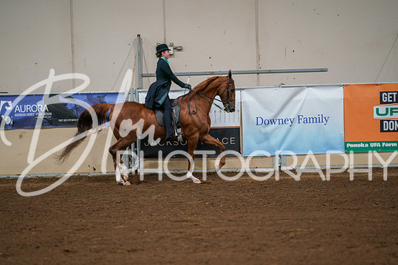 Aurora Show June 8, 2024  - 01055
