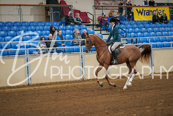 Aurora Show June 8, 2024  - 00818