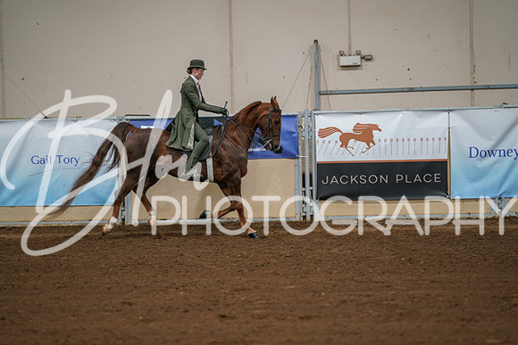 Aurora Show June 8, 2024  - 00997
