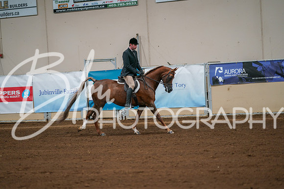 Aurora Show June 8, 2024  - 00910