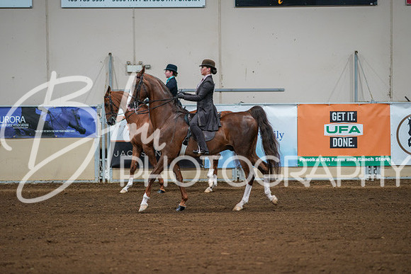 Aurora Show June 8, 2024  - 00978