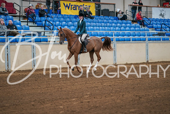 Aurora Show June 8, 2024  - 00834