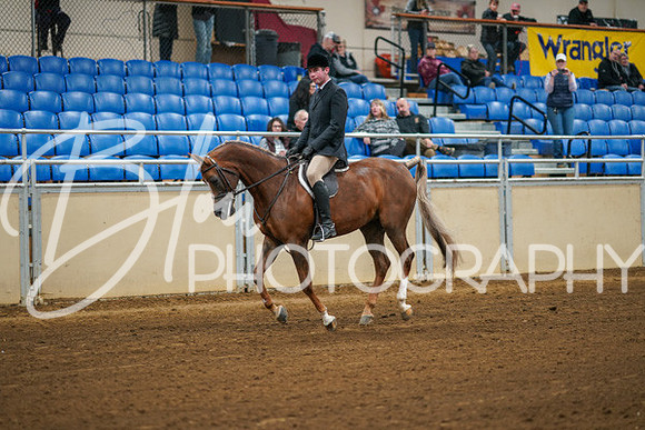 Aurora Show June 8, 2024  - 00900