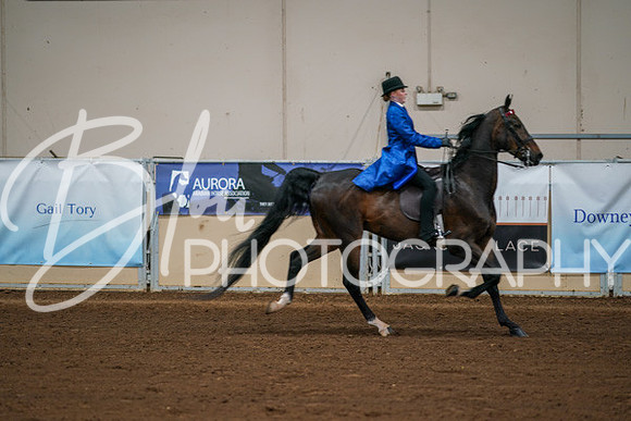 Aurora Show June 8, 2024  - 01049