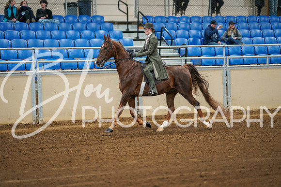 Aurora Show June 8, 2024  - 00958