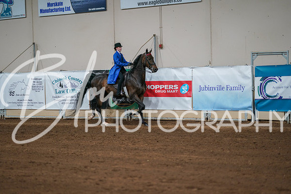 Aurora Show June 8, 2024  - 01072