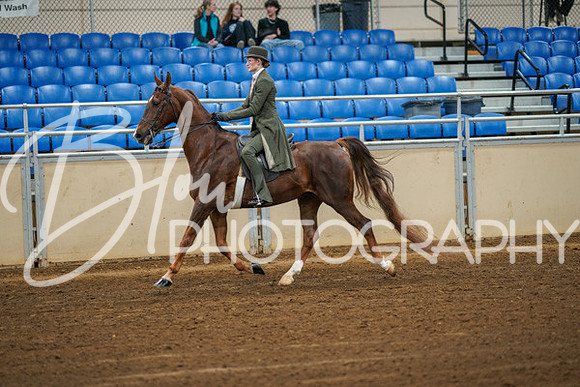 Aurora Show June 8, 2024  - 00961