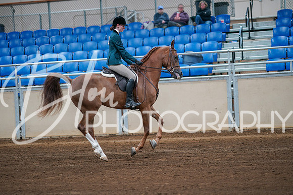 Aurora Show June 8, 2024  - 00865
