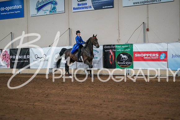 Aurora Show June 8, 2024  - 01069