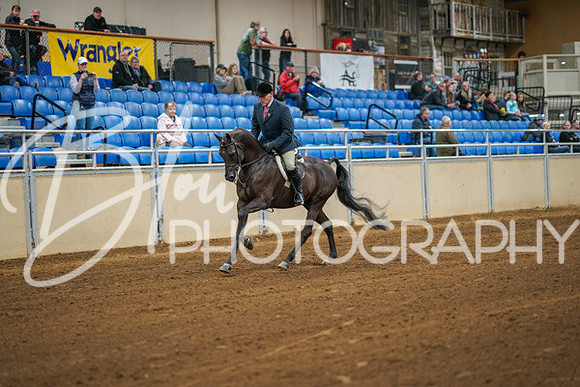 Aurora Show June 8, 2024  - 00890