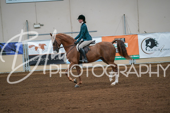 Aurora Show June 8, 2024  - 00854