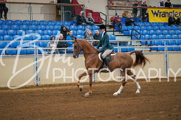 Aurora Show June 8, 2024  - 00819