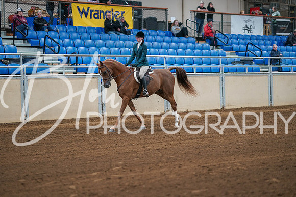 Aurora Show June 8, 2024  - 00833