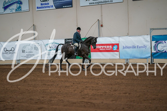 Aurora Show June 8, 2024  - 00919