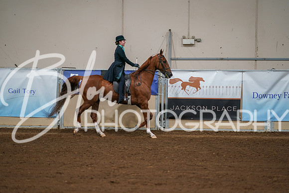 Aurora Show June 8, 2024  - 01008