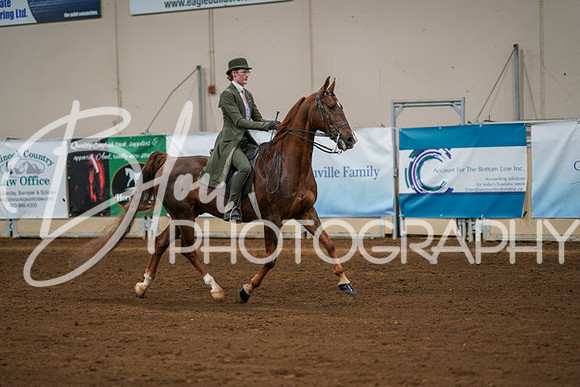 Aurora Show June 8, 2024  - 01035