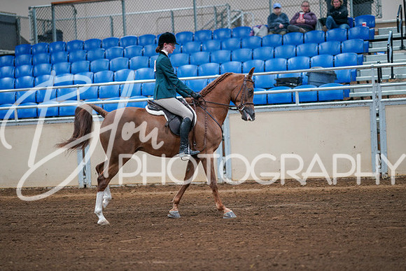 Aurora Show June 8, 2024  - 00864