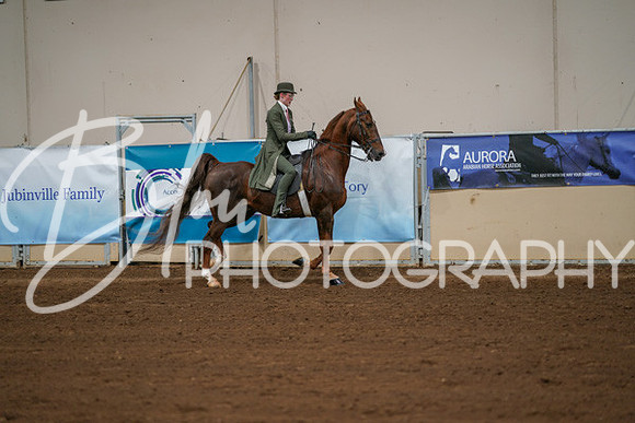Aurora Show June 8, 2024  - 00994