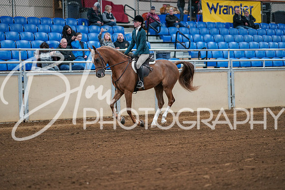 Aurora Show June 8, 2024  - 00837