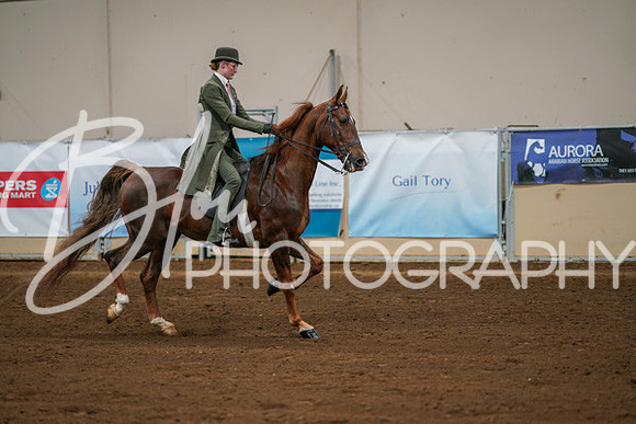 Aurora Show June 8, 2024  - 01037