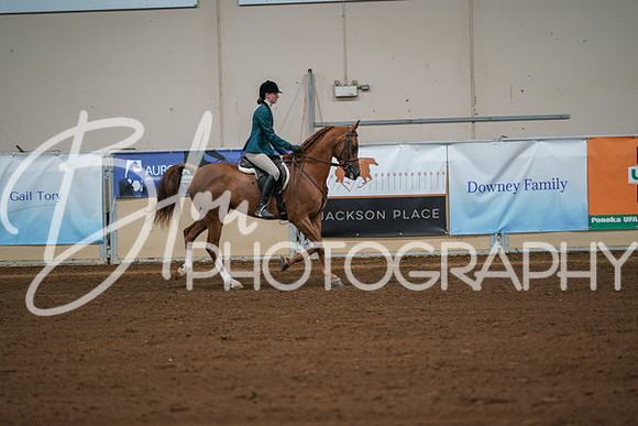 Aurora Show June 8, 2024  - 00860