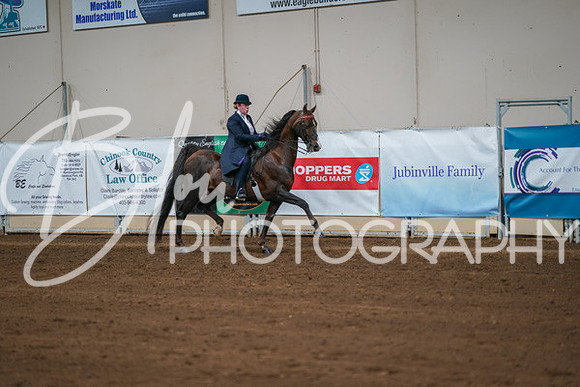Aurora Show June 8, 2024  - 01068