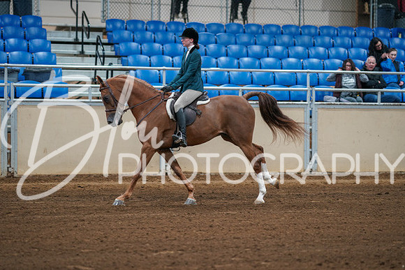Aurora Show June 8, 2024  - 00839