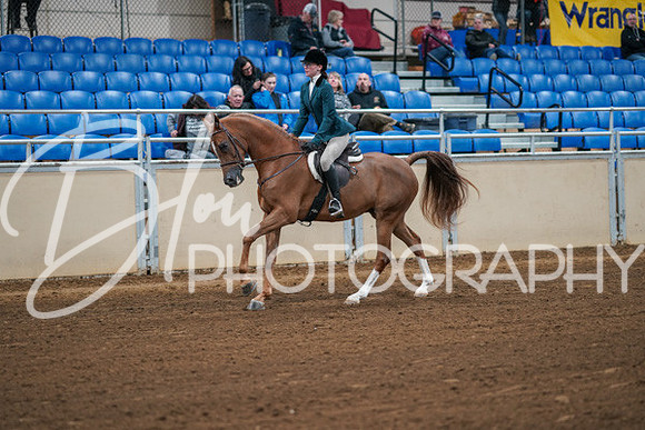 Aurora Show June 8, 2024  - 00838