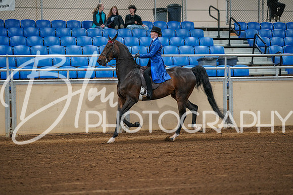 Aurora Show June 8, 2024  - 00975